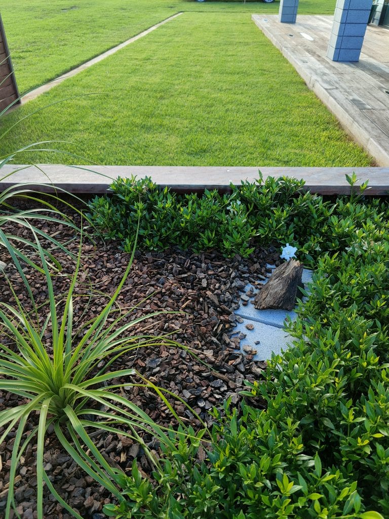 Lawn Preparations